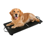 DD020 FiledGuard Animal Scale