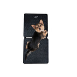 DD020 FiledGuard Animal Scale