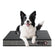 Vet Use Innovative Zero-Gravity Support Pet Sleep Pad with Mood Monitoring & Bluetooth App