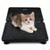 For Veterinary Use Only Manufacturer Direct Hot Sale DD020 Animal Scale