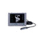 Veterinary Portable Ultrasound Machine for Horse
