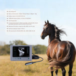 Portable Ultrasound Machine For Horse Vet Use Only