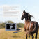 Portable Ultrasound Machine For Horse Vet Use Only