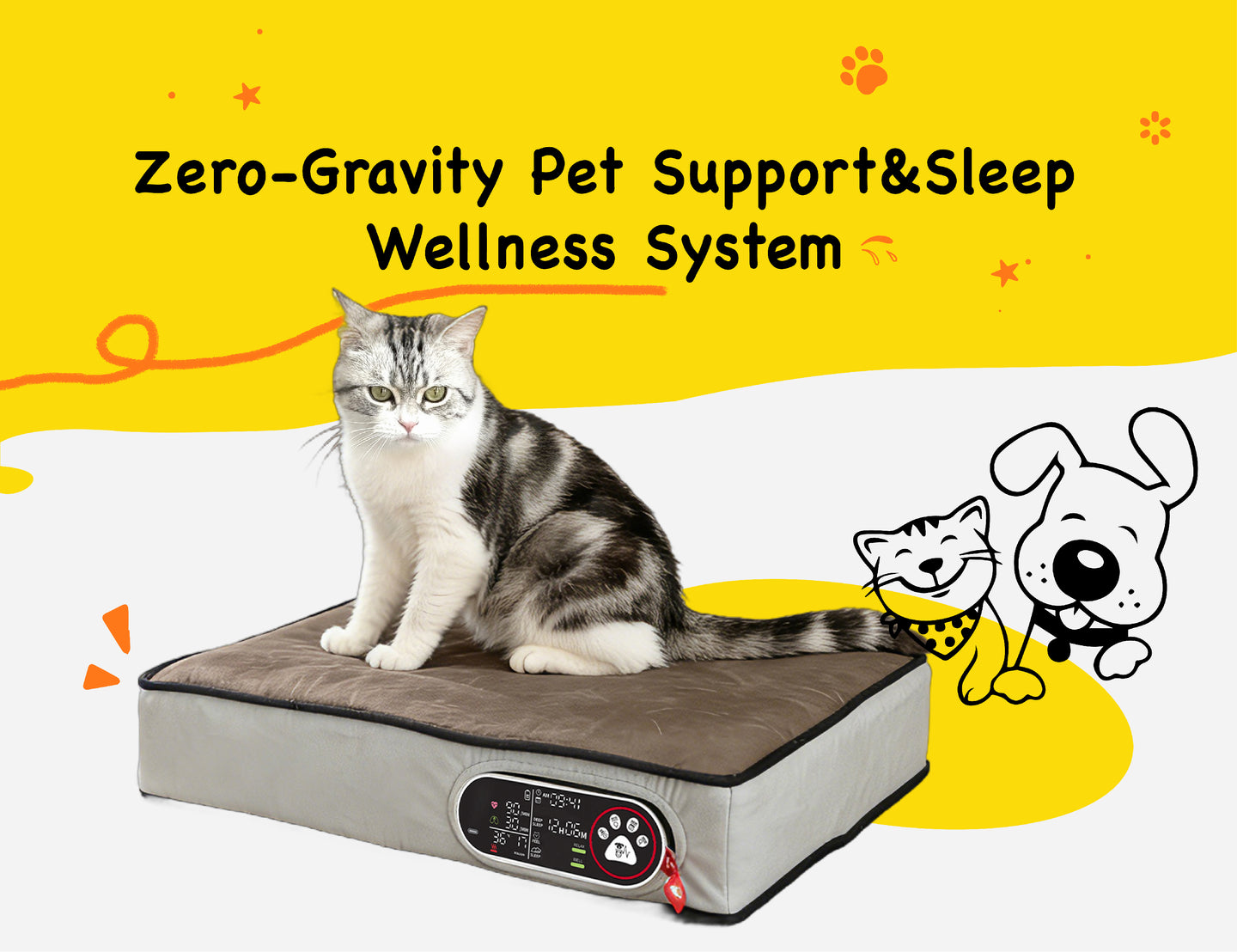 Promotion banner 2