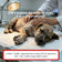 Vet Use Innovative Zero-Gravity Support Pet Sleep Pad with Mood Monitoring & Bluetooth App