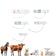 Veterinary Blood Pressure Cuffs