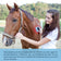 Veterinary And Home Use Low Level Laser Therapy Pad Wrap