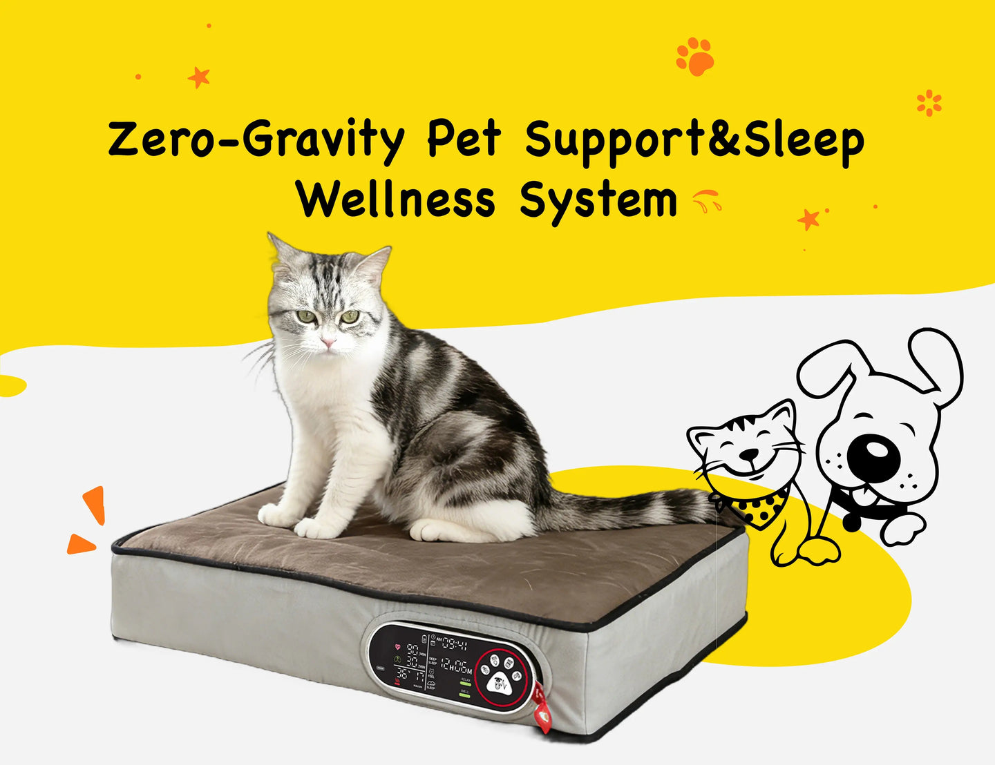 Promotion banner 2