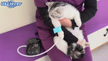 Veterinary Digital Blood Pressure Monitor With Multiple Cuffs Suitable For Animals