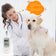 Blood and Infusion Warmer HF-110C For Veterinary Use Only
